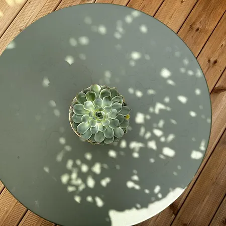 Daire Voie Des Sacres - Cathedrale De