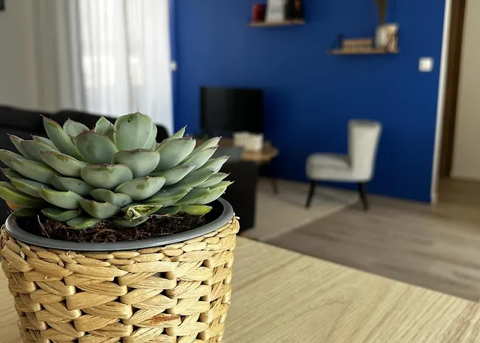 Voie Des Sacres - Cathedrale De * Reims