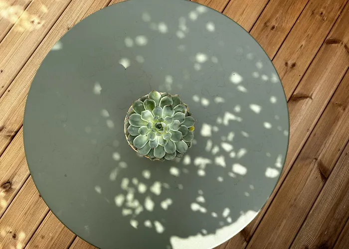 Lejlighed Voie Des Sacres - Cathedrale De